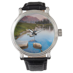 Montre Solitude de lac