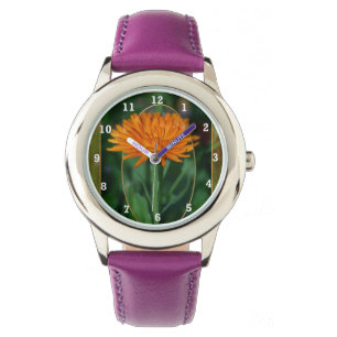 Montre Souci 2