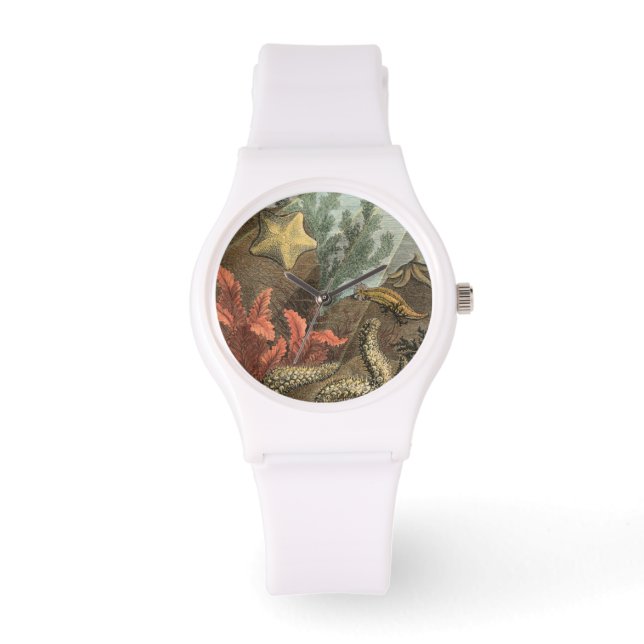 Montre Sous la mer (Recto)