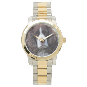Montre springer anglais spaniel.png