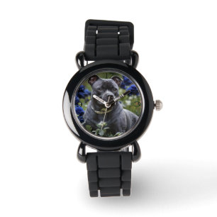 Montre Staffordshire Bull Terrier Dans Blue Rose Garden,