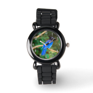 Montre Steller's Jay Painting - Art d'Oiseau sauvage orig