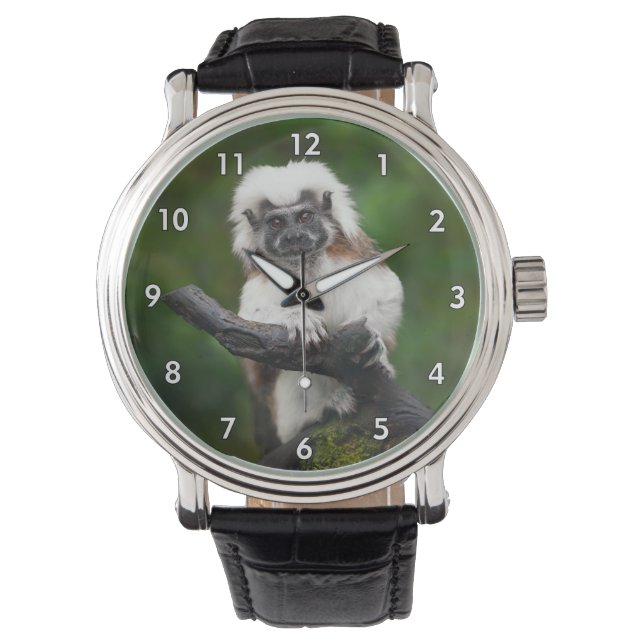 Montre Super Cute Coton Top Tamarin Primate (devant)