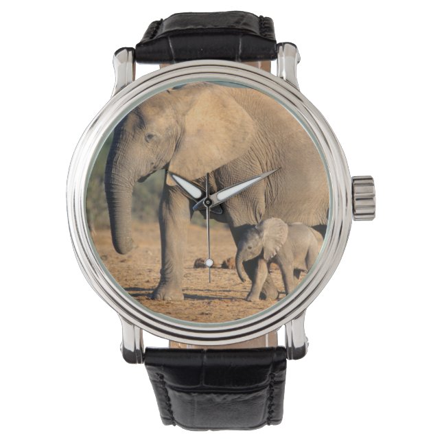 Montre Sur African Elephant mother and calf on the move (devant)