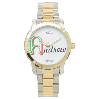 MONTRE SURVEILLANCE DE NOM : ANDREW HAVIC ACD