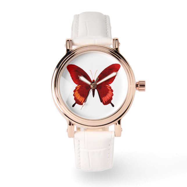 Montre Surveillance du papillon Crimson (Recto)