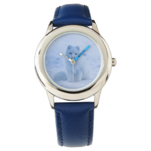 Montre surveillance du renard arctique