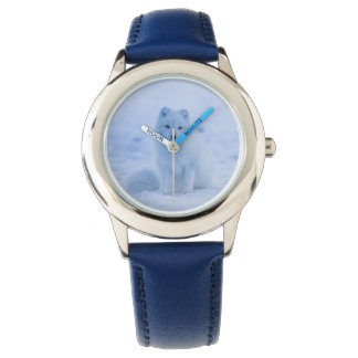 Montre surveillance du renard arctique