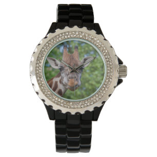 Montre Sweet Curios Giraffe