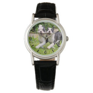 Montre Sympa drôles Boston Terrier chiens chiots jouer - 