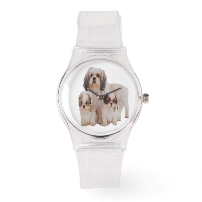 Montre T-shirts Shih-tzu (Recto)