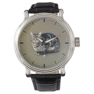 Montre Tabby Cat assis