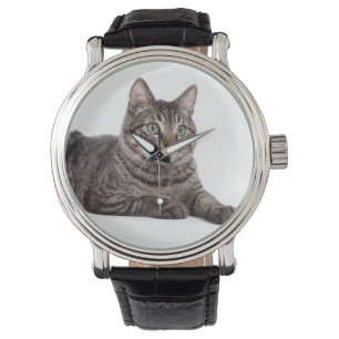 Montre Tabby gris