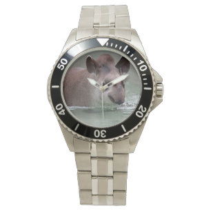 Montre Tapir_2015_0101