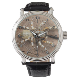 Montre Tarantula