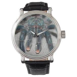 Montre tarentule bleue