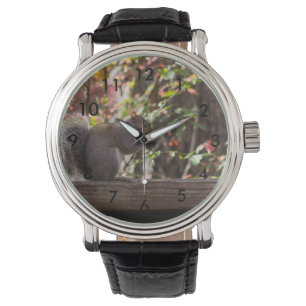 Montre Temps de bouffe d'écureuil