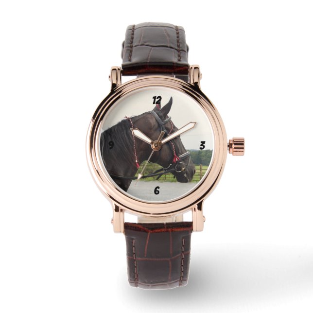 Montre Tennessee Walking Horse (Recto)