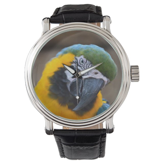 Montre tête de macaw de perroquet bleu doré inclinée (devant)