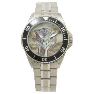 Montre toono