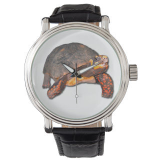 Montre Tortoise