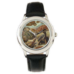 Montre Tortue (Chelonia) par Haeckel