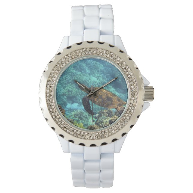 Montre tortue de mer (devant)
