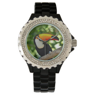 Montre Toucan