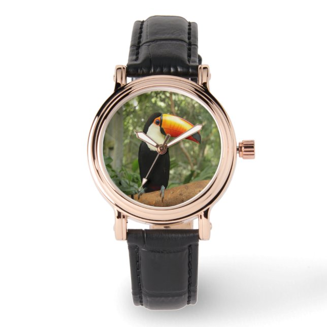 Montre Toucan sur branche d'arbre (Recto)