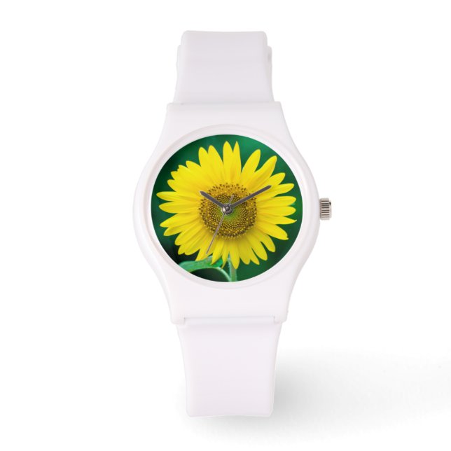 Montre Tournesol jaune géant en observation d'été (Recto)