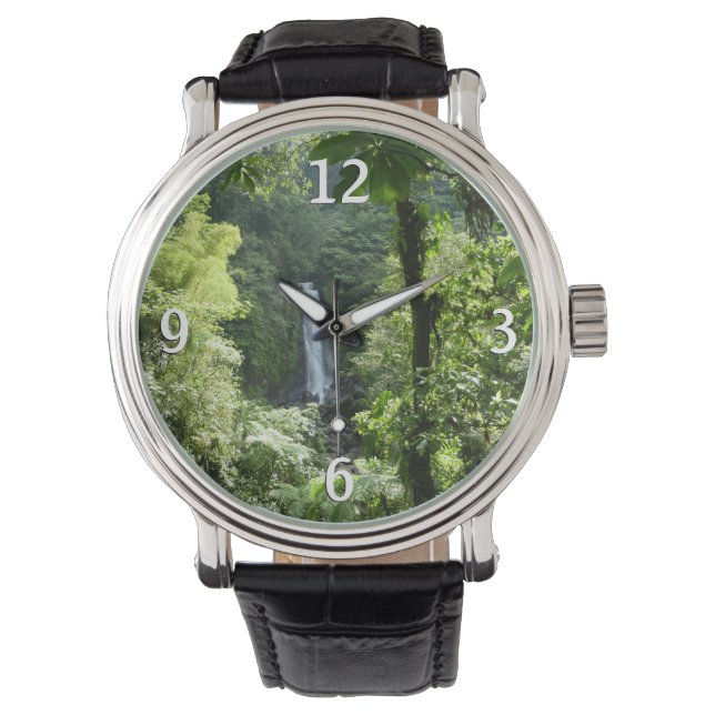Montre Trafalgar Falls Tropical Rainforest Photographie (devant)