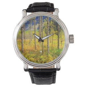 Montre Trembles en automne dans les Rocheuses