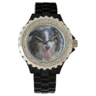 Montre Tri Couleur Bordure Collie Visage de chien
