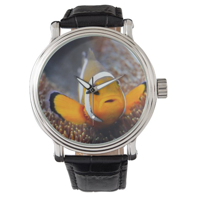 Montre Tropcal reef fish (devant)