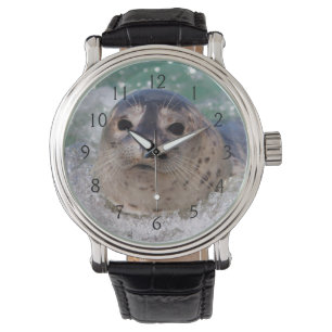 Montre Un bébé phoque surfant