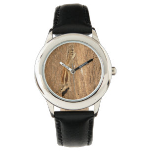 Montre Un écureuil de palme indien sur un tronc d'arbre