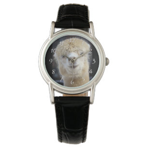 Montre Un joli visage moelleux d'un alpaga