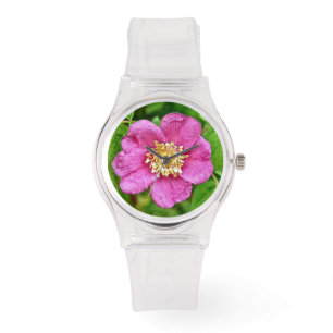 Montre Un Rose sauvage