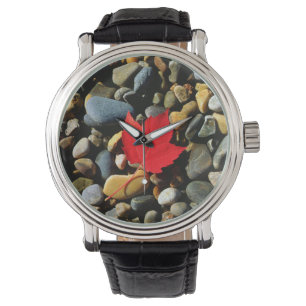 Montre Une feuille d'érable sur un fond de roche