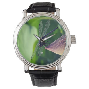 Montre Une libellule