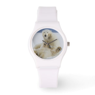 Montre Une ourse polaire et son ourson jouent dans la nei