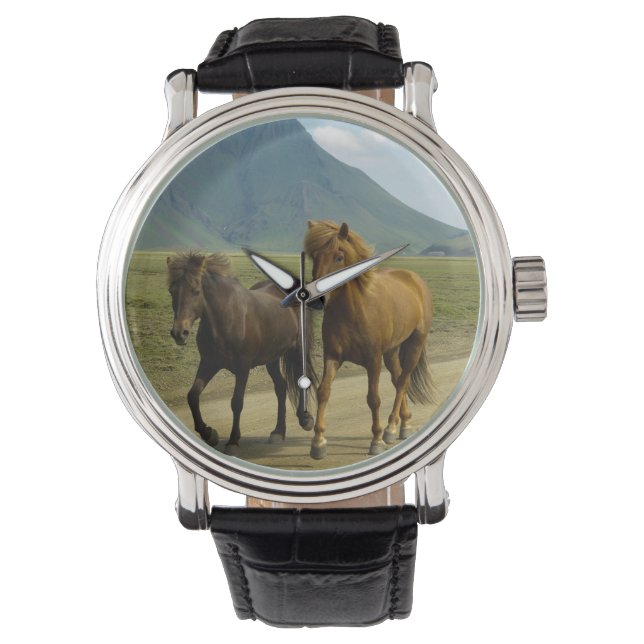 Montre Une paire de poneys islandais Brown (devant)