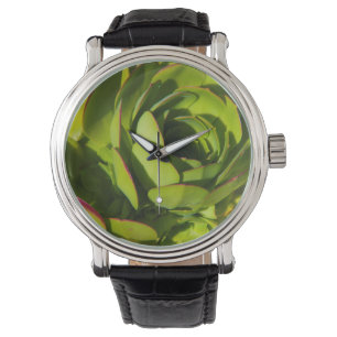 Montre USA, Californie. Plante Lobelia géant gros plan