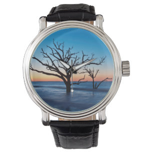 Montre USA, Caroline du Sud, Edisto Island, Botany Bay