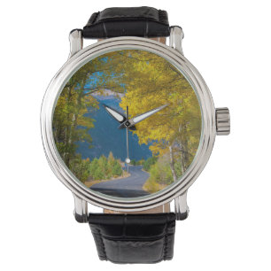 Montre USA, Colorado. Route Flanquée Par Aspens