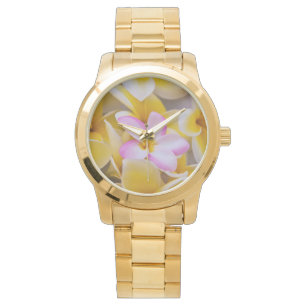 Montre USA, Hawaii, Oahu, Plumeria fleurs en fleurs 1