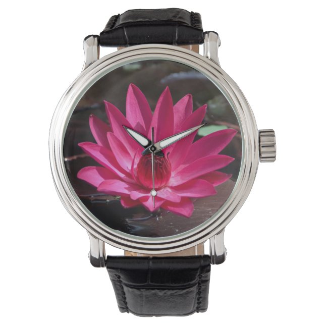 Montre USA, Kansas, Bright Red Water Lilly (devant)
