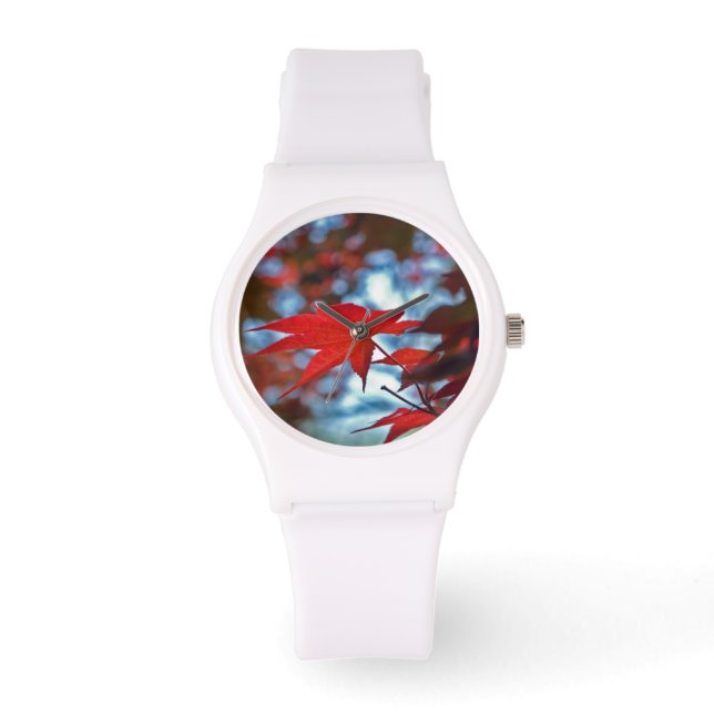 Montre USA, Kansas. Couleurs d'automne (Recto)