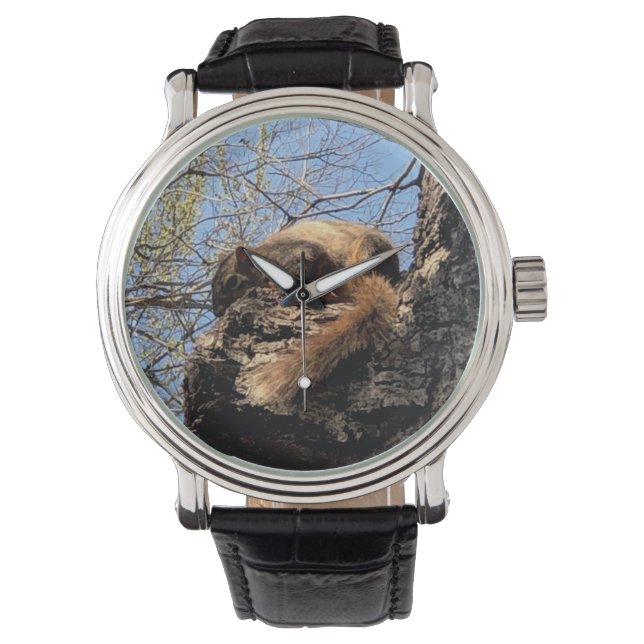 Montre Veille à l'écureuil (devant)
