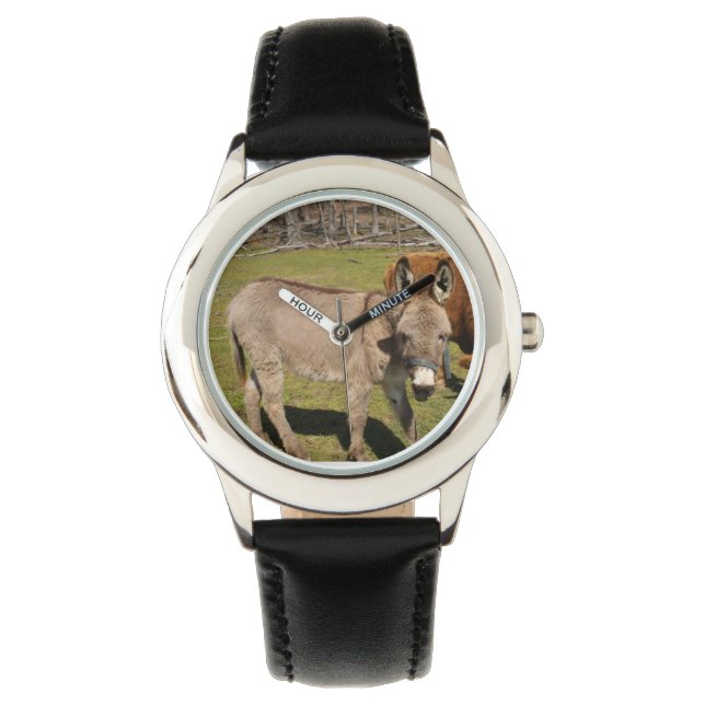 Montre Veille de l'âne (devant)